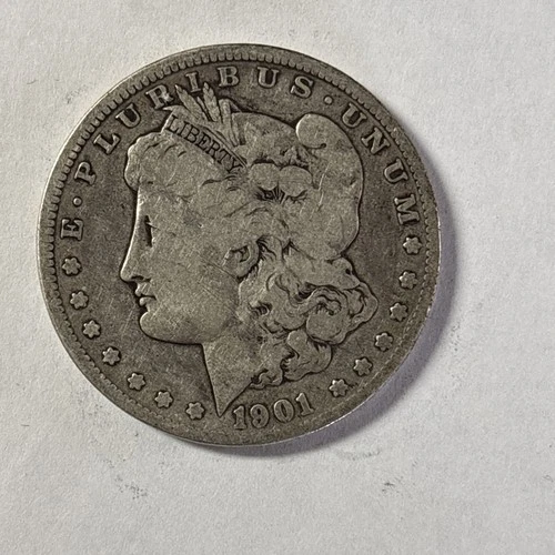 1901-O Morgan Dollar - Fine (#57143-L)