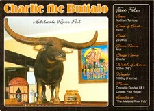 Charlie The Buffalo Postcard. Adelaide River Pub Vintage 90s Old