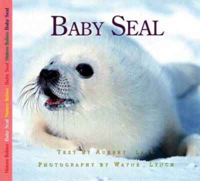 Baby Seal (Nature Babies) - Paperback By Lang, Aubrey - GOOD