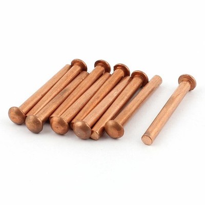 10 Pcs 1/4'' Diameter 2'' L Shank Copper Round Head Solid Rivets Fasteners