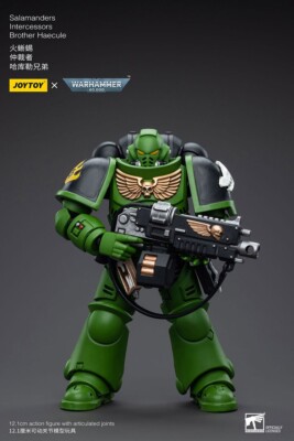 JOYTOY Warhammer 40K JT5222 1:18 Salamanders Intercessors Brother Haecule Figure
