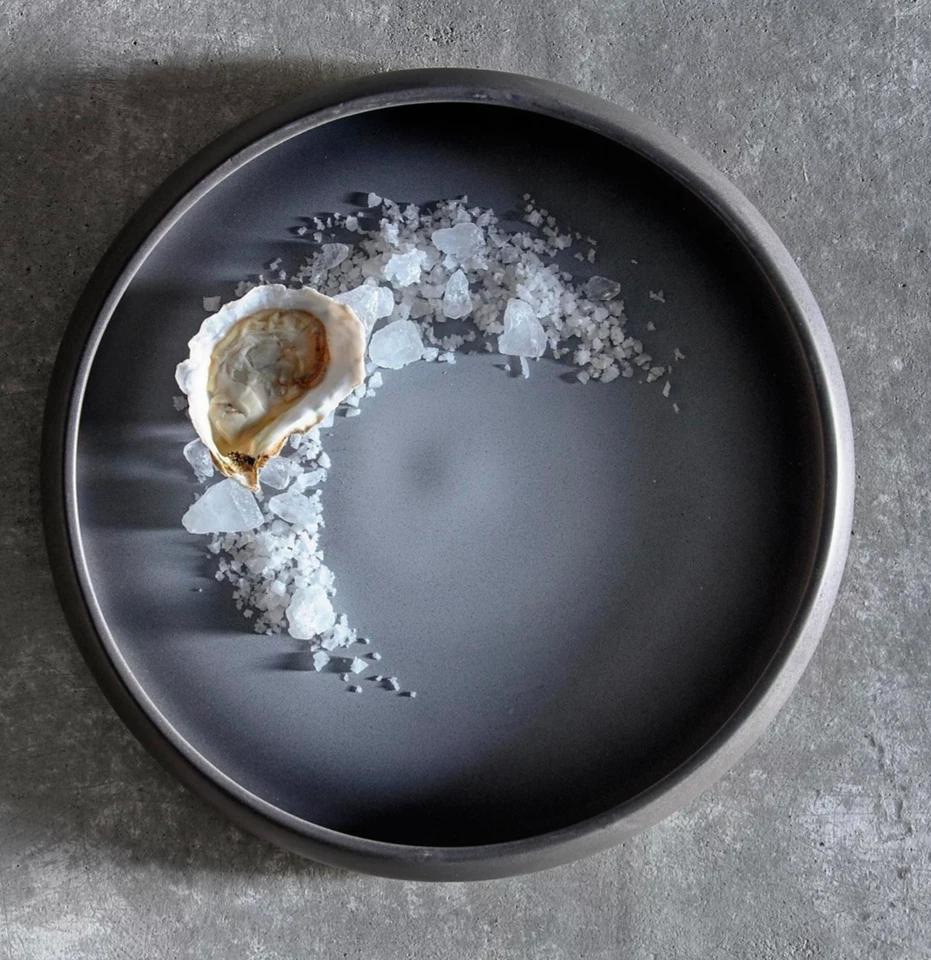 FORTESSA CLOUD TERRE GRIS 11" REDONDO PORCELANA CALABAZA TAZÓN GRANDE NUEVO Foto 4 de 4