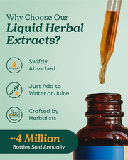 Certified Organic Wormwood Liquid Extract for Digestive System Support - 1 Ounce