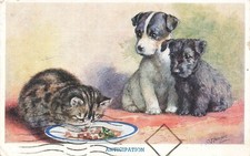 VORFREUDE Katze frisst Hunde beobachten Postkarte um 1959 (H536)