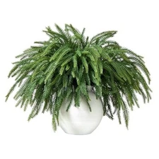 16 Pcs Christmas Norfolk Pine Branches,19" Real Touch Artificial Faux Norfolk 