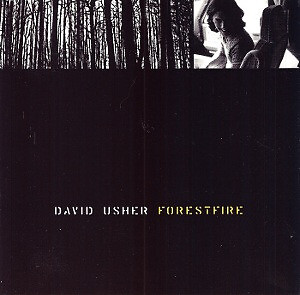 CD Rock David Usher Forestfire CD, Single, Promo 1998 Acoustic ...