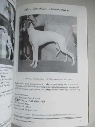 Italian Greyhound Magazine April/May 1998 Champion Photos & Articles - Bild 10 von 12