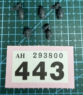 Aeldari Guardian Head Helmet Bundle Corsair Aspect Warrior Storm Eldar 40K Bits