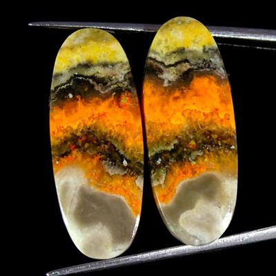 24.40Cts Natural Bumble Bee Jasper Oval Cabochon loose Gemstone 12x29x4mm