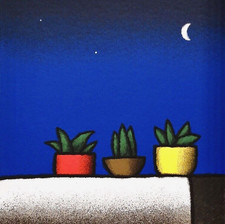 Tino Stefanoni | Serigrafia a colori