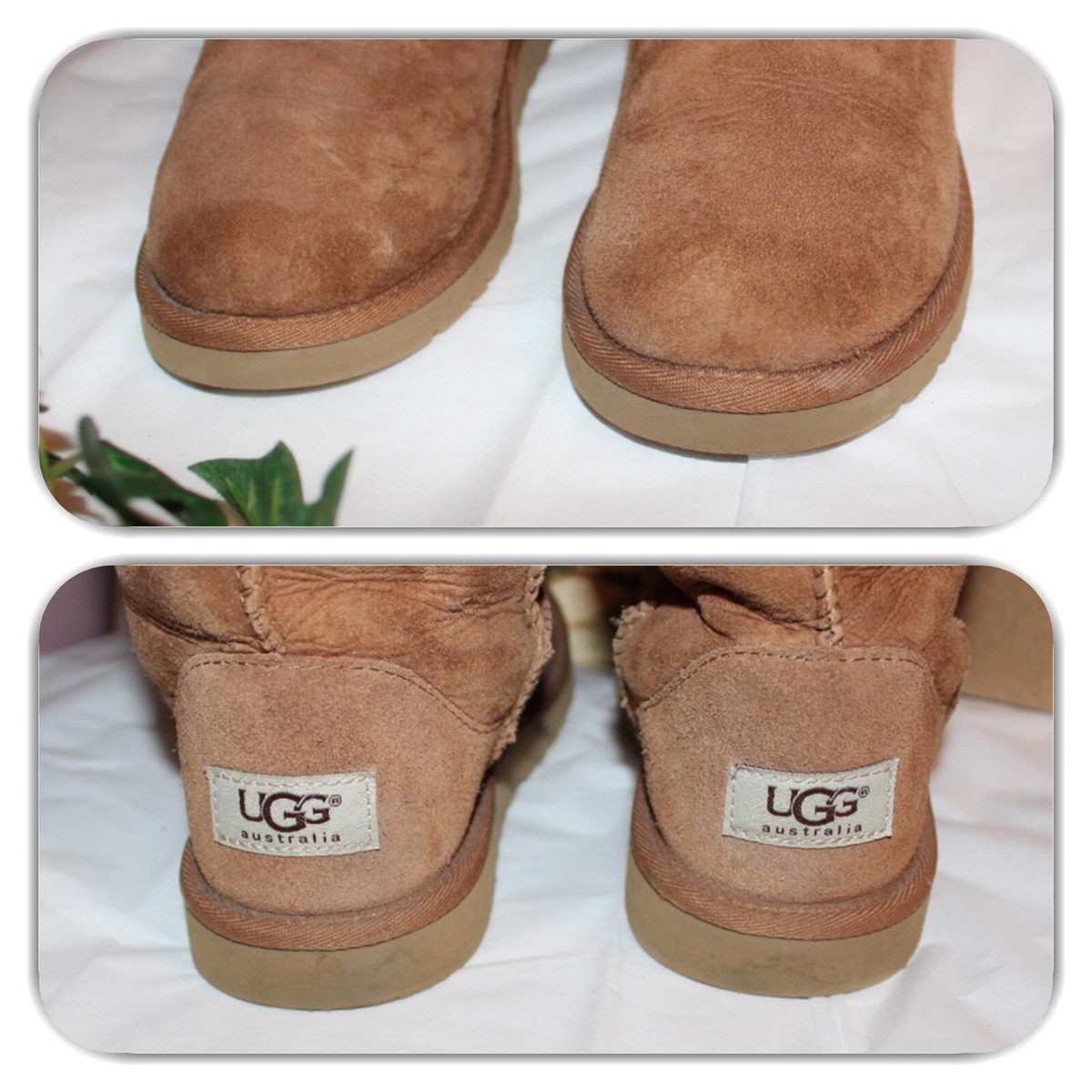 SUMPTUOUS UGG AUSTRALIA BOOTS! (SIZE 4) | eBay SUMPTUOUS UGG AUSTRALIA BOOTS! (SIZE 4) | eBay