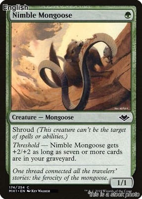 Nimble Mongoose [MH1 - 174] Modern Horizons