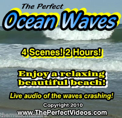The Perfect Ocean Waves DVD Ambient Water Video Relaxing Beach Scenes Real Audio