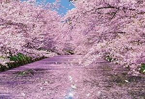 Beverly-Jigsaw-Puzzle-51-251-Japan-Cherry-Blossoms-at-Hirosaki-Park-1000-Pcs