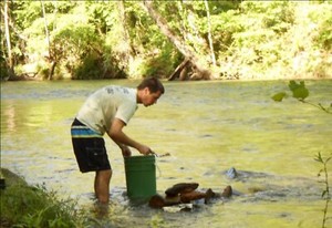 1LB Unsearched Chestatee River Gold Paydirt Fines Pickers Nuggets? Panning Scrap