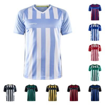 Craft Trikot gestreift Sportshirt Progress 2.0 Stripe Herren Trainingsshirt NEU