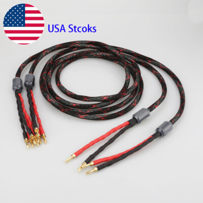 Pair 12AWG OFC Pure Copper HIFI Audio Bi-wire Speaker Cable 2 to 4 Banana Plug