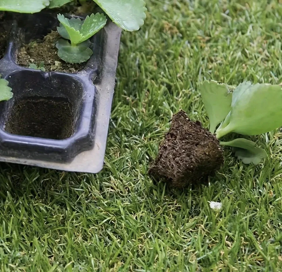 128 Cell Plant Trays Bedding Plant Pack Plastic Inserts Seed Germination Pots - Image 4 of 4