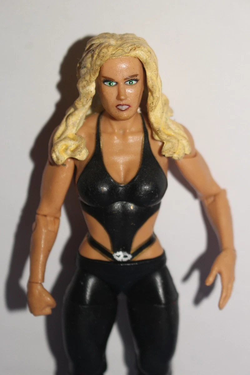 Wwe sable action figure deals