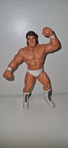 WCW Galoob - Z-Man Tom Zenk figure WWE...