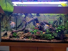 Juwel Rio 180 Aquarium Fish Tank with Stand