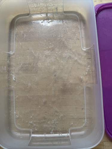 Tupperware Rectngle Container 2 1/4 C 4165-4 Lid 2092E-4 Freezer Mates Purple - Picture 7 of 9