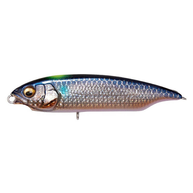 Megabass Seabass Lure Karashi SW FS DD Signal Inakko | eBay