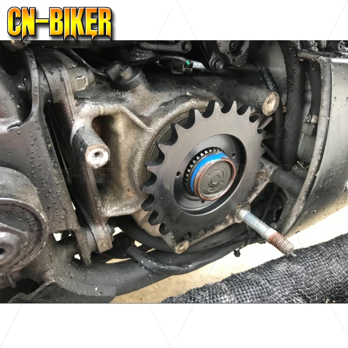 Belt to Chain Drive Conversion Kit For Harley 2004-2024
