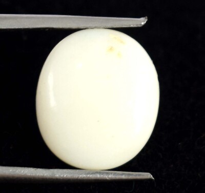 100% Natürlich 2.75 Karat Ovaler Weißer Opal Groß Luster Edelstein AGI Certified