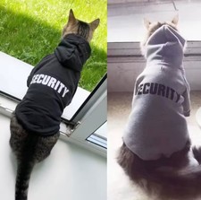 Cat and small dog clothes
