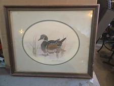 Framed Patricia Richardson Print Wood Duck Framed Patricia Richardson Print Wood Duck