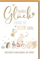 Geburt Baby Freudiges Ereignis GlüCkwunschkarte Mit Umschlag Gezeichnete Tiere