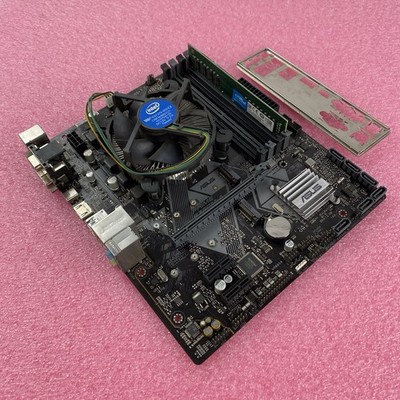 ASUS Prime B360M-A MB Intel Core i3-8100 3.6GHz 1x16GB RAM with I/O Shield