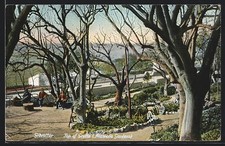 Gibraltar, Top of Grotto, Alameda Gardens, An...