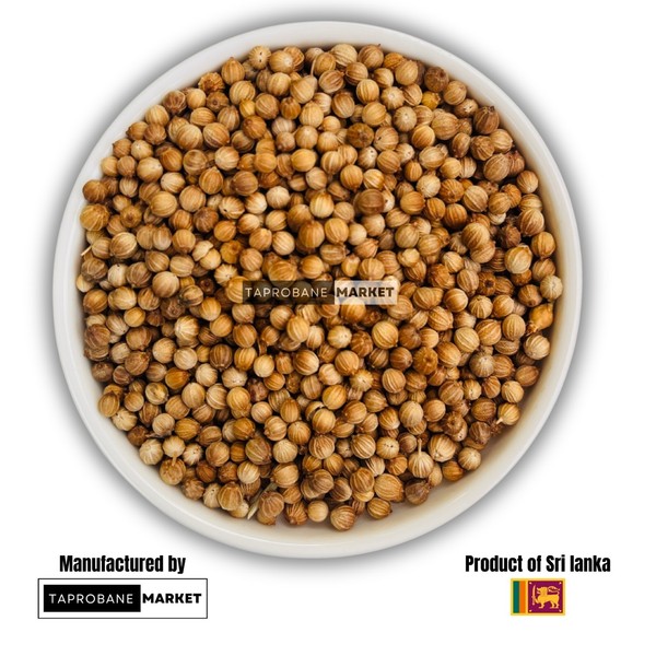 Semillas de cilantro de Ceilán premium especias enteras hierba de cocina aromática natural