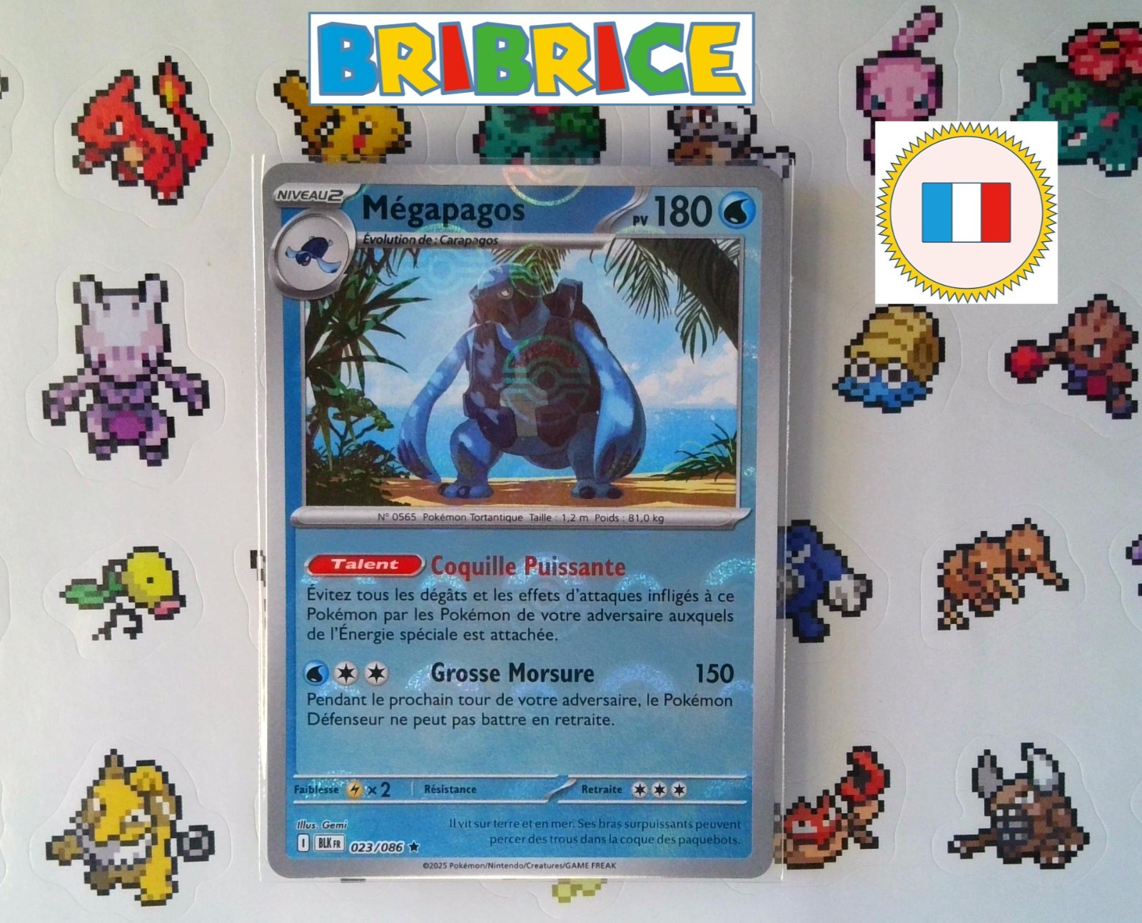 Carte pokemon Mégapagos Carracosta BLK 23/86 REVERSE POKEBALL FR