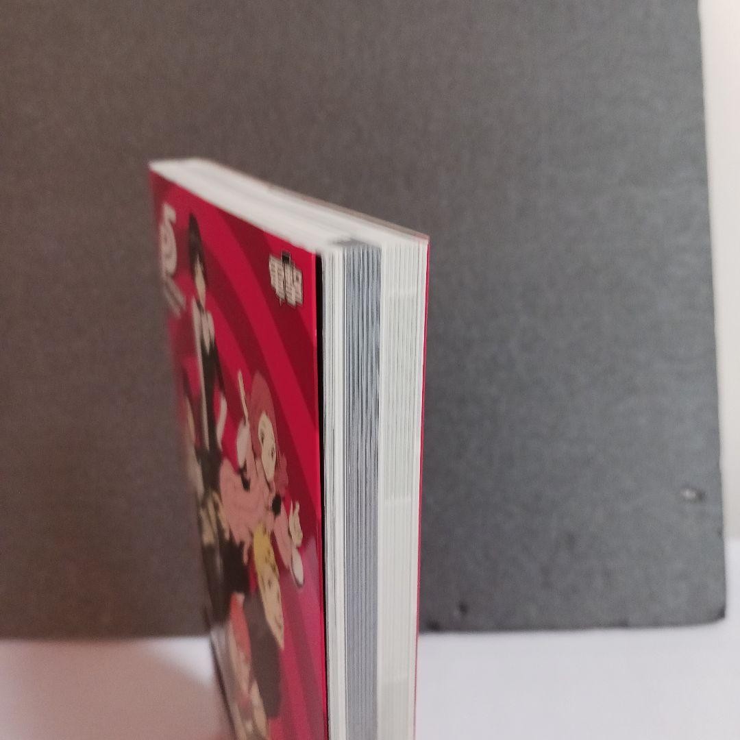 Picture 4 of 12