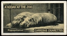 Tobacco Card, Carreras, KODAK AT THE ZOO, A Series, 1924, Hippopotamus, #24