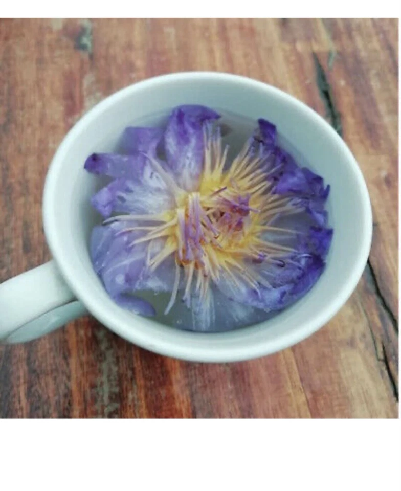 Flor de loto azul orgánica - Nymphaea Caerulea - Flor seca premium - 1 OZ Foto 3 de 3