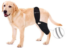 Baoguai Dog Knee Brace, removable Stabilizers, Can fit Any Leg  Black