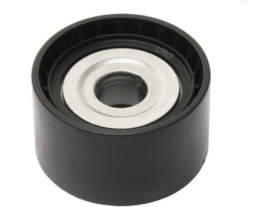 98TX12M Accessory Belt Idler Pulley Fits 2010-2018 Mercedes Sprinter 2500