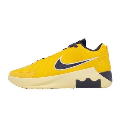 Nike LeBron Witness IX 9 EP LA Lakers Men Basketball Hoopers Shoes