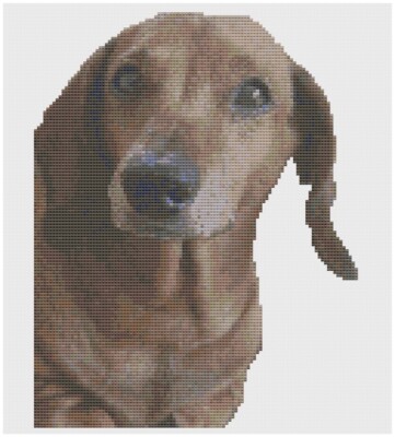 Cross Stitch Pattern by Florashell - Red Smooth Dachshund Dog