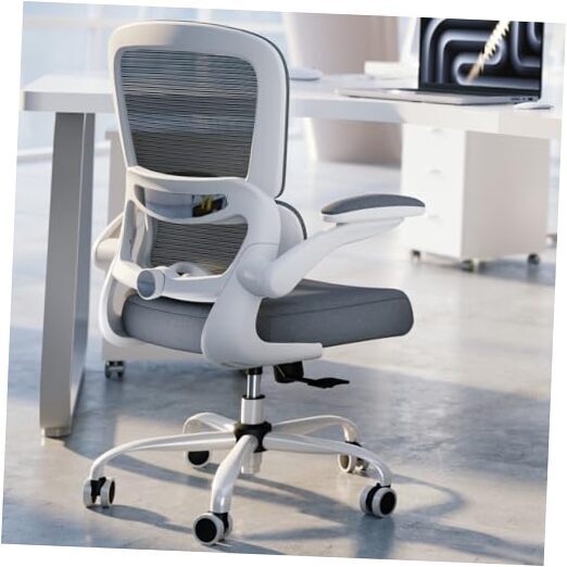 Office Chair - Ergonomic Desk Chair with Adjustable Lumbar Support, Mesh White