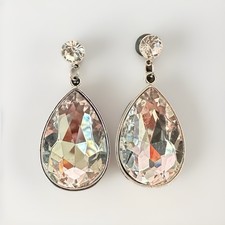 Paparazzi Earrings 13