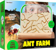 Ant Farm Kit for Kids - Farms Colony - Includes Ants Voucher - Sand Habitat  Bu
