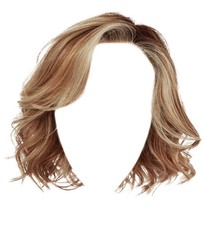 Raquel Welch Flirt Alert Wig RL16/88 Pale Golden Honey Color Average Size