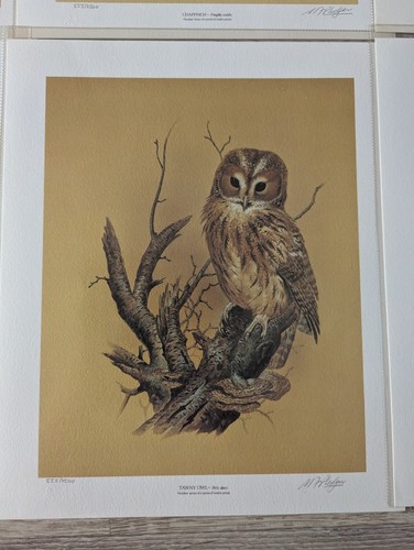 Maurice Pledger Sammlung 12 Lithographien Drucke aus Originalen 555 von 7500 - Bild 13 von 17