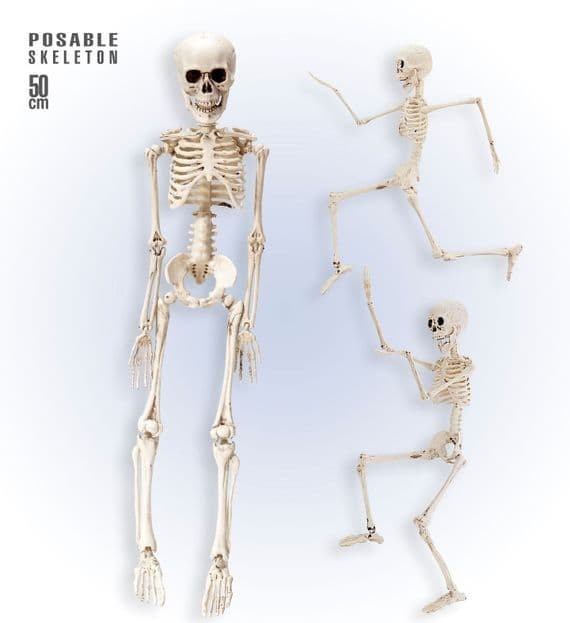 Halloween Posable Skeleton 50cm Spooky Decoration Prop