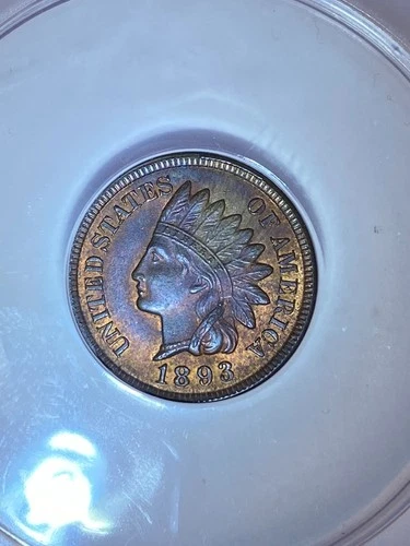 1893 Indian Head Cent | ANACS MS 63 RB